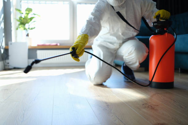 Reliable Sewage Cleanup contractor in McKittrick, CA by Trauma Clean Pros